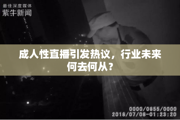 成人性直播引发热议，行业未来何去何从？