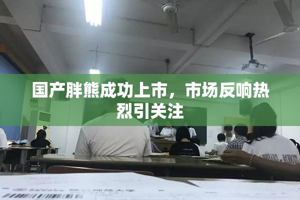 国产胖熊成功上市，市场反响热烈引关注