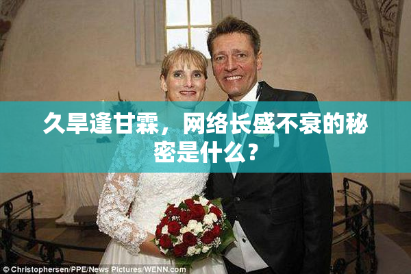 久旱逢甘霖，网络长盛不衰的秘密是什么？