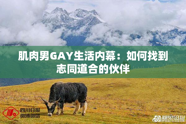 肌肉男GAY生活内幕：如何找到志同道合的伙伴