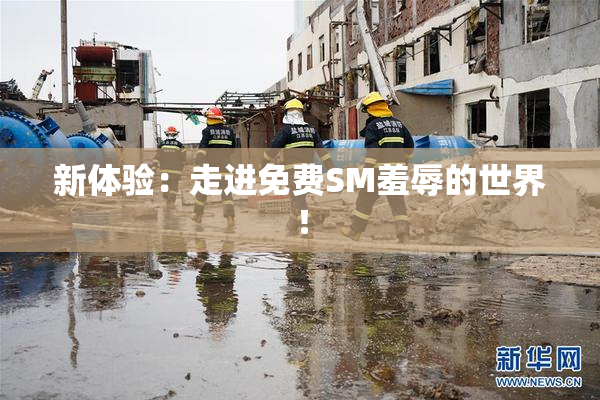 新体验：走进免费SM羞辱的世界！