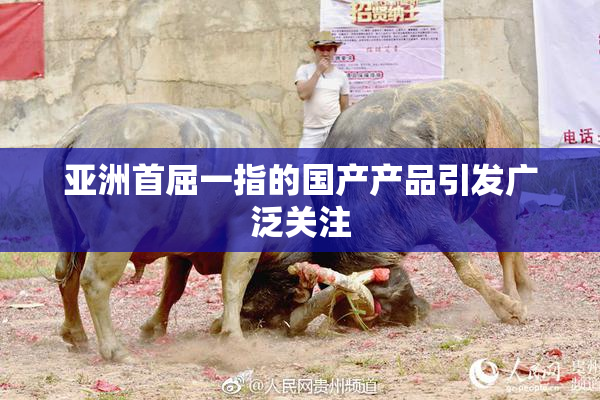 亚洲首屈一指的国产产品引发广泛关注