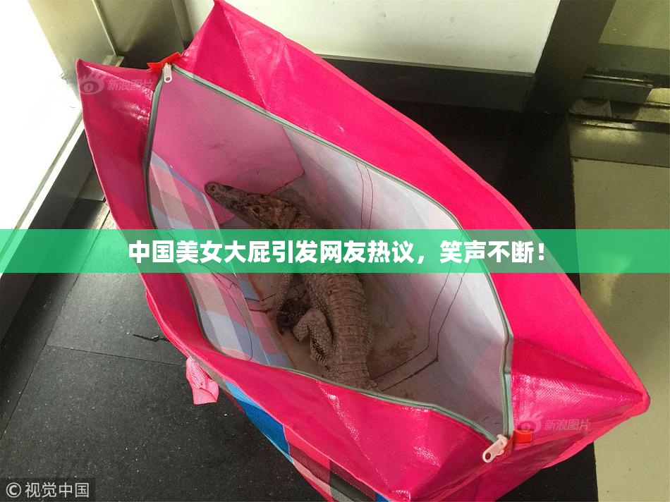 中国美女大屁引发网友热议，笑声不断！