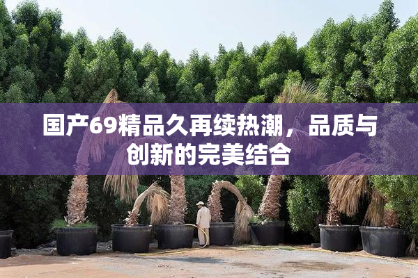 国产69精品久再续热潮，品质与创新的完美结合
