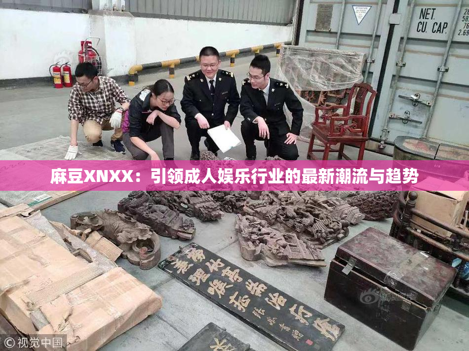 麻豆XNXX：引领成人娱乐行业的最新潮流与趋势