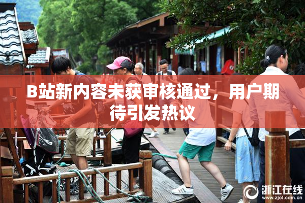 B站新内容未获审核通过，用户期待引发热议