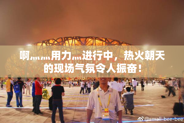 啊灬灬用力灬进行中，热火朝天的现场气氛令人振奋！