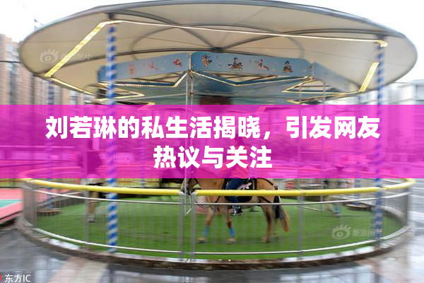 刘若琳的私生活揭晓，引发网友热议与关注