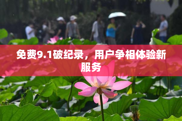 免费9.1破纪录，用户争相体验新服务