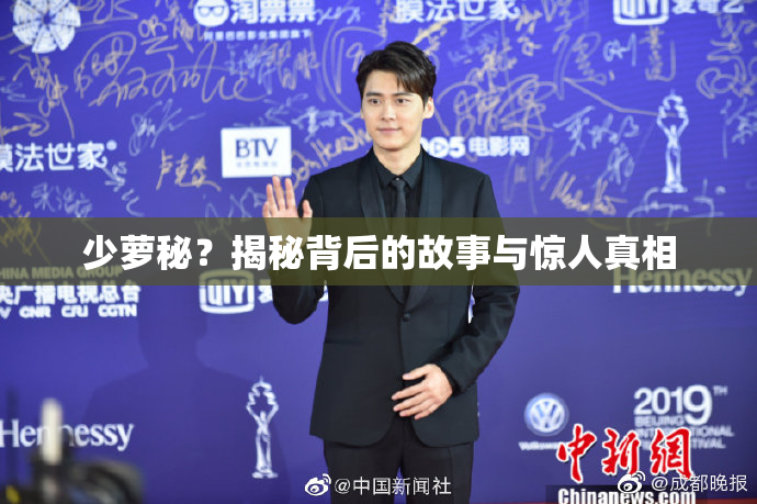 少萝秘？揭秘背后的故事与惊人真相