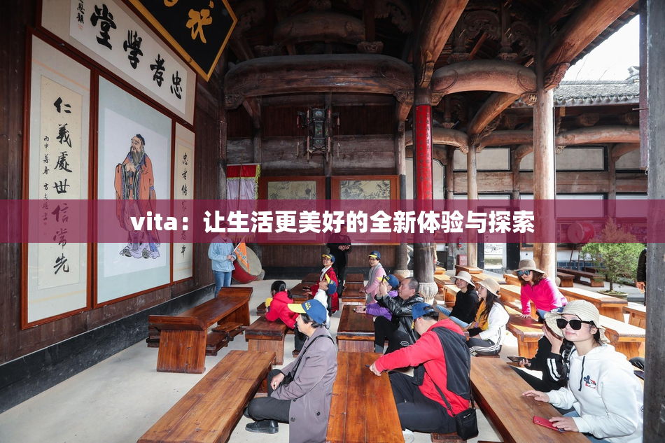 vita：让生活更美好的全新体验与探索