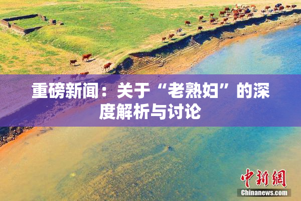 重磅新闻：关于“老熟妇”的深度解析与讨论