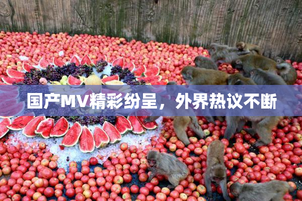 国产MV精彩纷呈，外界热议不断