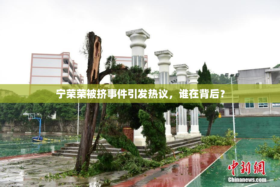 宁荣荣被挤事件引发热议，谁在背后？