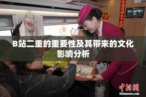 B站二重的重要性及其带来的文化影响分析