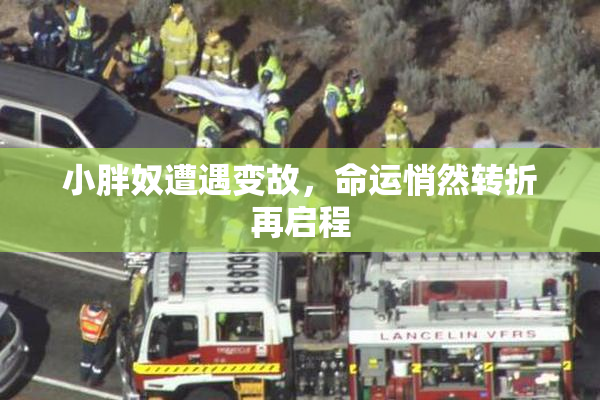 小胖奴遭遇变故，命运悄然转折再启程