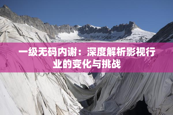 一级无码内谢：深度解析影视行业的变化与挑战