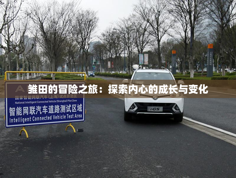 雏田的冒险之旅：探索内心的成长与变化