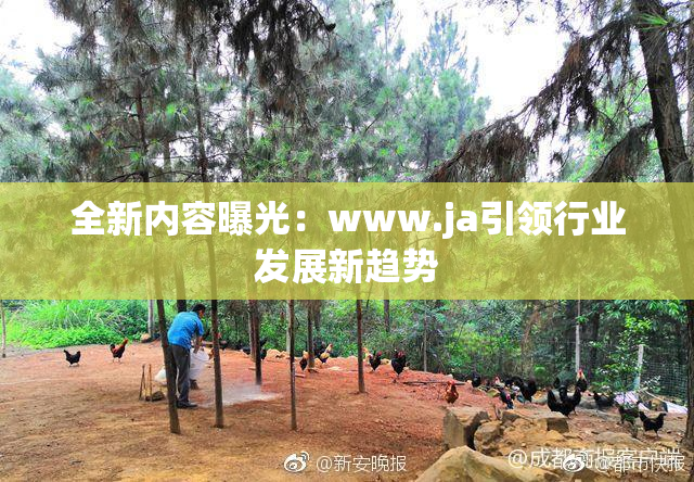 全新内容曝光：www.ja引领行业发展新趋势