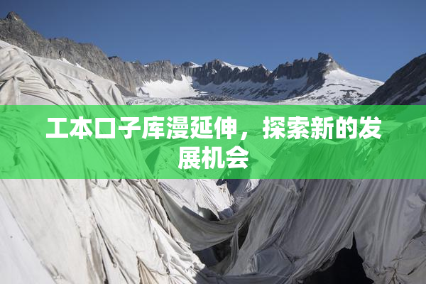 工本口子库漫延伸，探索新的发展机会