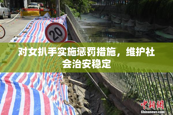 对女扒手实施惩罚措施，维护社会治安稳定