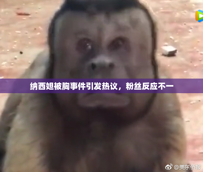 纳西妲被胸事件引发热议，粉丝反应不一