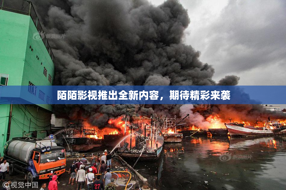 陌陌影视推出全新内容，期待精彩来袭
