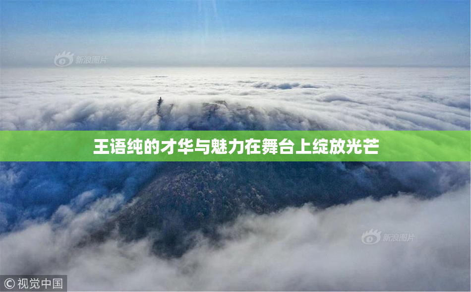 王语纯的才华与魅力在舞台上绽放光芒