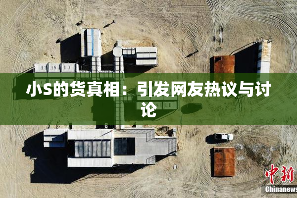小S的货真相：引发网友热议与讨论