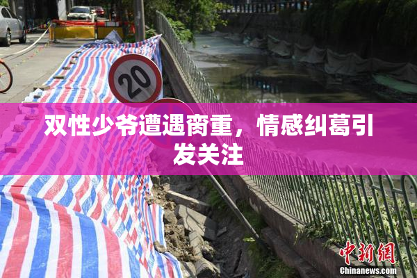 双性少爷遭遇脔重，情感纠葛引发关注
