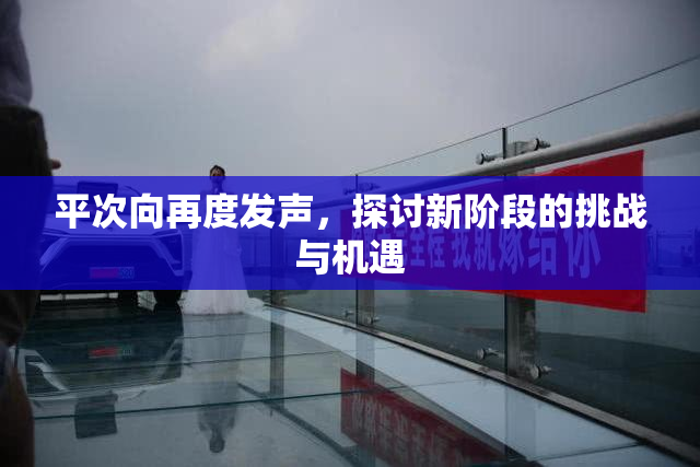 平次向再度发声，探讨新阶段的挑战与机遇