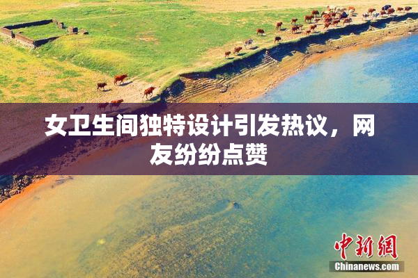 女卫生间独特设计引发热议，网友纷纷点赞
