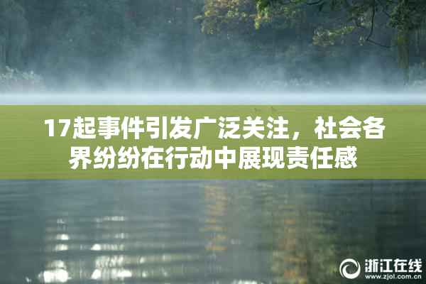 17起事件引发广泛关注，社会各界纷纷在行动中展现责任感