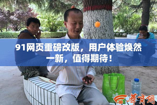 91网页重磅改版，用户体验焕然一新，值得期待！