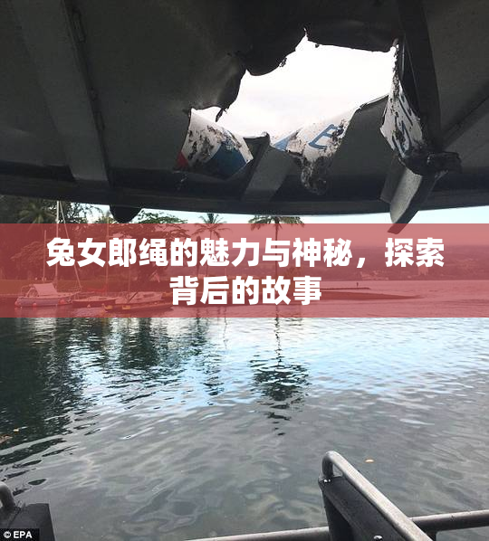 兔女郎绳的魅力与神秘，探索背后的故事