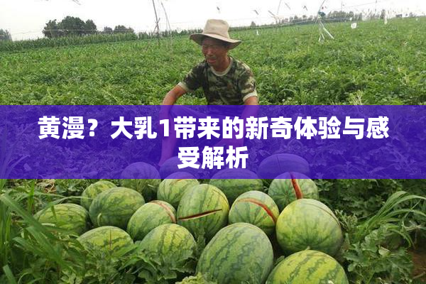黄漫？大乳1带来的新奇体验与感受解析