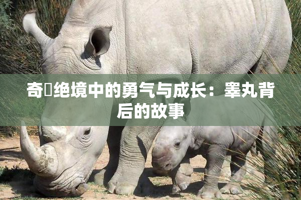 奇犽绝境中的勇气与成长：睾丸背后的故事