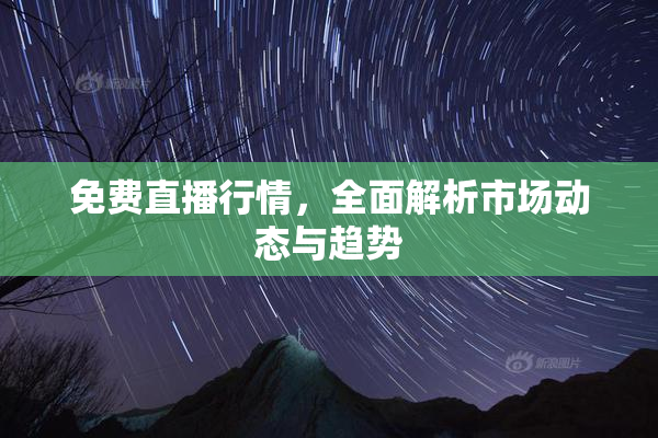 免费直播行情，全面解析市场动态与趋势