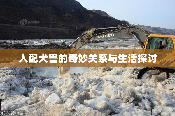 人配犬兽的奇妙关系与生活探讨