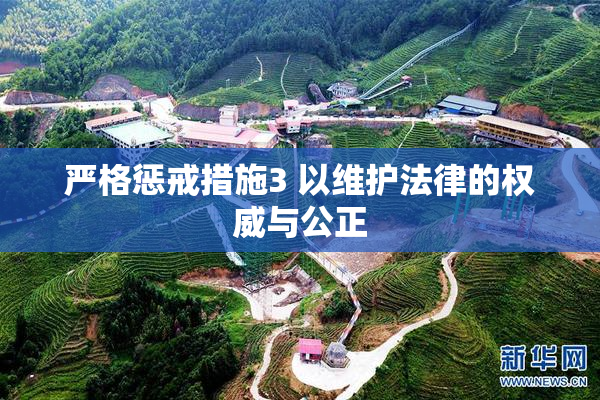 严格惩戒措施3 以维护法律的权威与公正