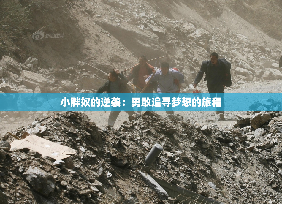 小胖奴的逆袭：勇敢追寻梦想的旅程