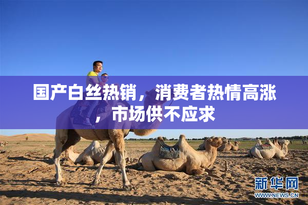 国产白丝热销，消费者热情高涨，市场供不应求