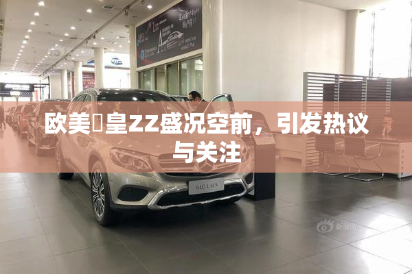欧美嘼皇ZZ盛况空前，引发热议与关注