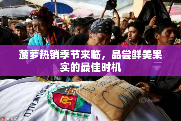菠萝热销季节来临，品尝鲜美果实的最佳时机