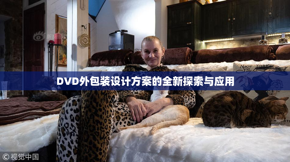 DVD外包装设计方案的全新探索与应用