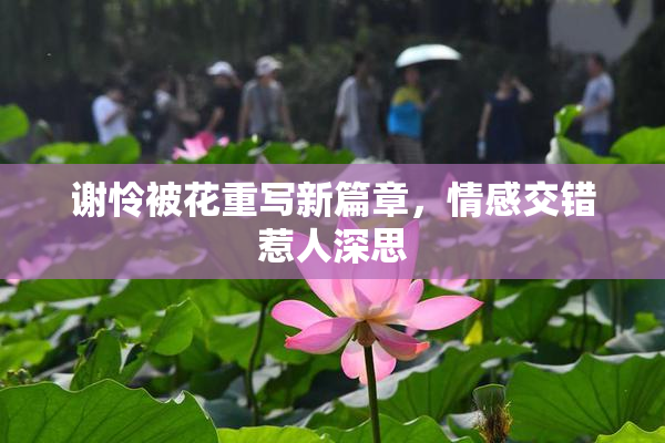 谢怜被花重写新篇章，情感交错惹人深思