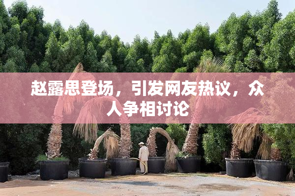 赵露思登场，引发网友热议，众人争相讨论