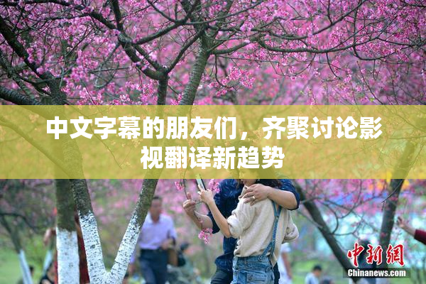 中文字幕的朋友们，齐聚讨论影视翻译新趋势