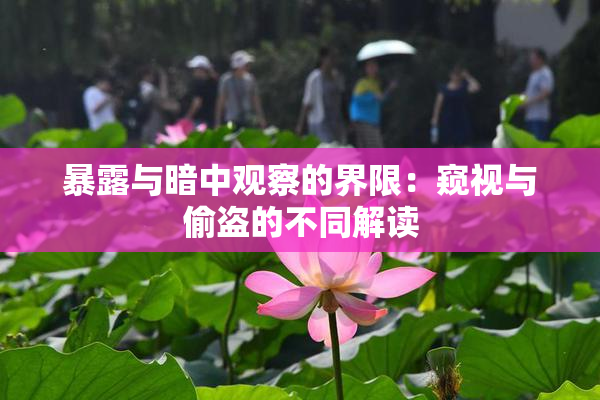 暴露与暗中观察的界限：窥视与偷盗的不同解读