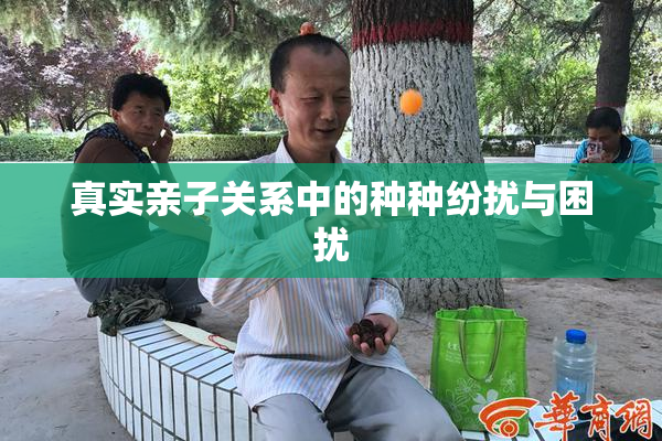 真实亲子关系中的种种纷扰与困扰